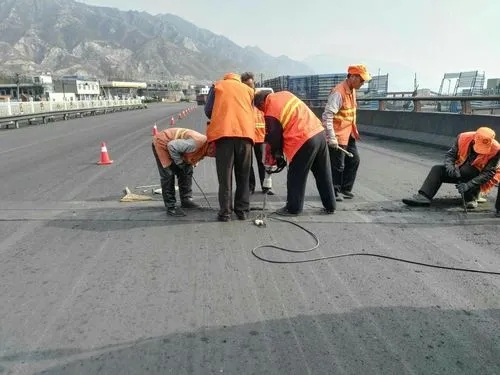 隆回道路桥梁病害治理